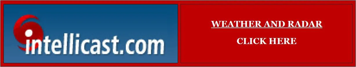 Custom Text