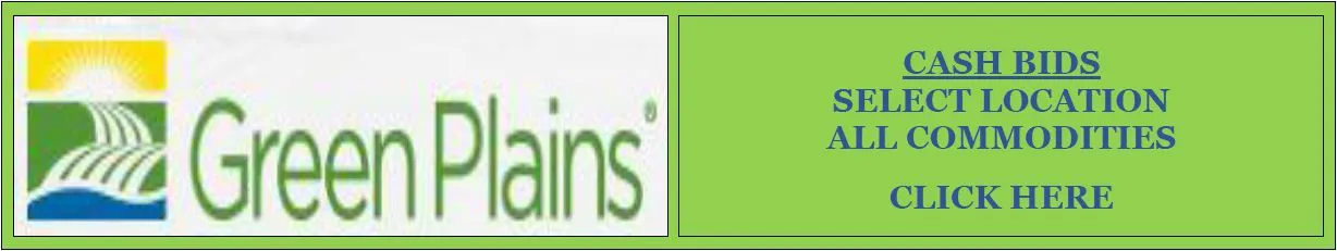 Custom Text