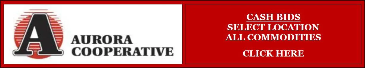 Custom Text